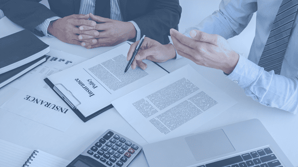 Flexible Insurance Policy